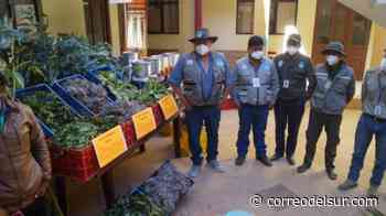 El Palmar aporta con plantas medicinales para la atención de la pandemia en Presto - Correo del Sur