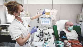 Covid-19: luz verde en Buenos Aires a ley que agiliza donación de plasma - ámbito.com
