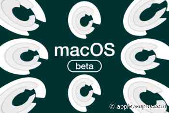 Apple releases macOS Catalina 10.15.6 Beta 3 to developers - Appleosophy