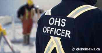 OHS investigating workplace death of tree planter in northern Alberta