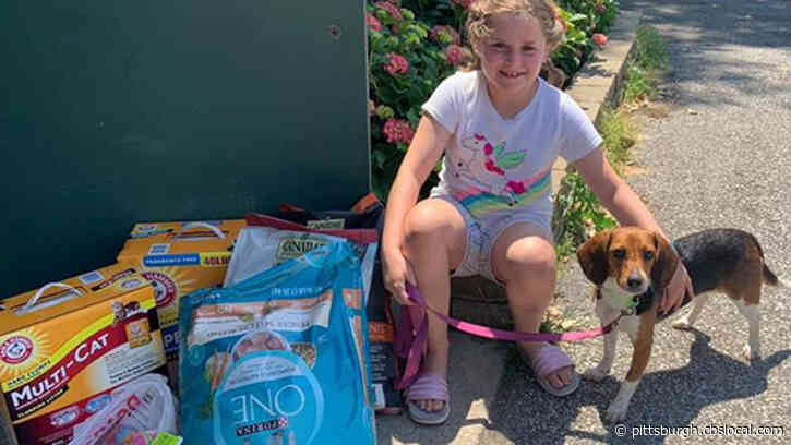 Young Girl Saves $150 To Buy Much-Needed Supplies For Pennsylvania Animal Shelter