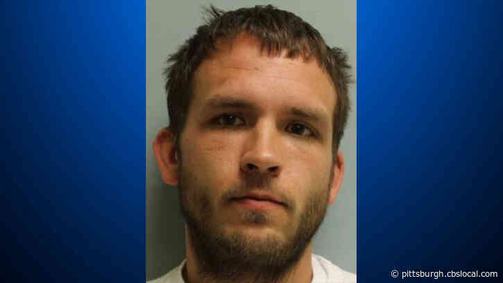 ‘As A Mother, I Wanted To Hurt Him:’ Man Arrested After Allegedly Terrorizing Westmoreland Co. Neighborhood