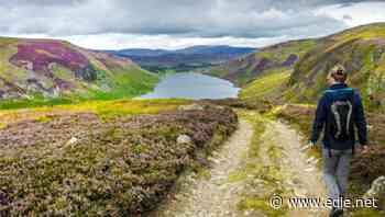 Brits believe a non-green Covid-19 recovery would be bad for the economy, cross-party survey reveals