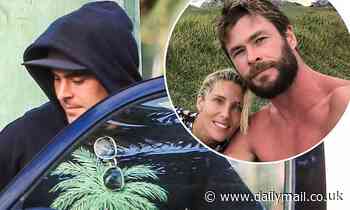 Zac Efron's Byron Bay entourage is revealed - and it includes Chris Hemsworth - Daily Mail