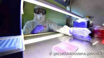 Coronavirus, una mutazione lo rende più contagioso - La Gazzetta di Modena