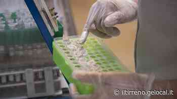 Coronavirus: 9 nuovi casi in Toscana (7 a Impruneta). Tre i decessi, 7 le guarigioni - Il Tirreno