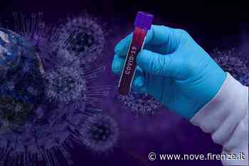 Coronavirus Impruneta, i 7 nuovi casi appartengono a 2 famiglie - Nove da Firenze