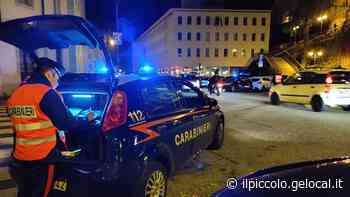 Principio di incendio in casa a Trieste, i carabinieri intervengono ma trovano coltivazione di marijuana e arrestano il proprietario - Il Piccolo