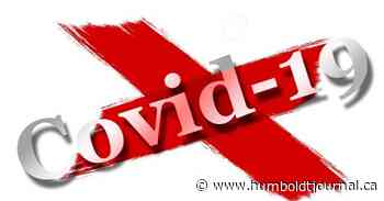 14th individual has died in the province of COVID-19 - Humboldt Journal