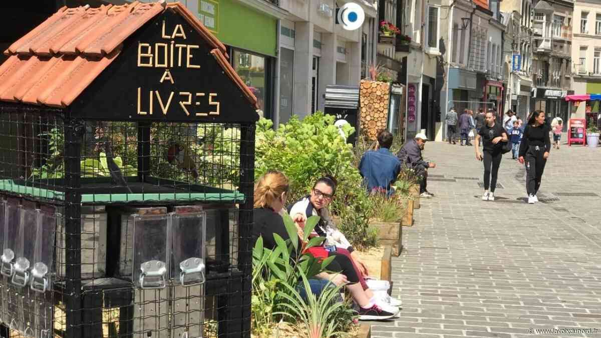 Tourcoing: les «salons végétalisés» fleuriront jusqu'en octobre - La Voix du Nord