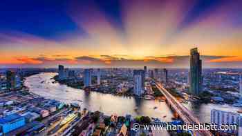 Thailand: Warum in Bangkok auf Bauland Plantagen statt Apartments entstehen