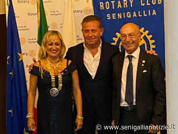 Rossana Berardi al vertice del Rotary Club Senigallia - Senigallia Notizie