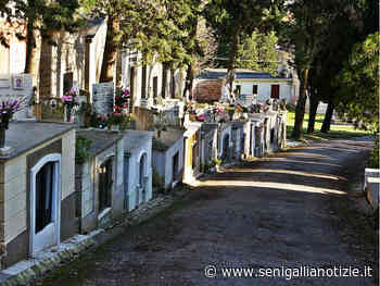 Comitato Cittadino Tombe Ipogee Senigallia sulle condizioni del Cimitero di Senigallia - Senigallia Notizie