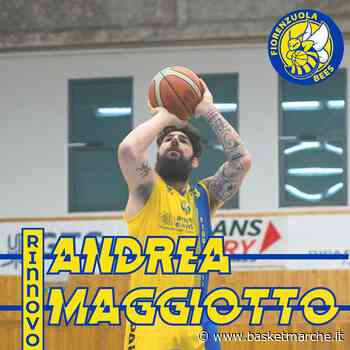 Ufficiale, la prima conferma dei Fiorenzuola Bees è quella dell'ex Senigallia Andrea Maggiotto - Serie C Gold - Basketmarche.it