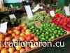 Regulan venta de productos del agro en Morón - Radio Morón