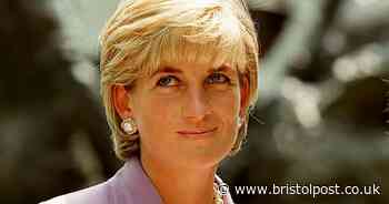 Princess Diana's shock speech which stunned crowd at a charity lunch