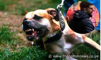 Police release image of wanted man after dog attack in Westhoughton park