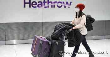 New airline baggage guidance and fees for passengers