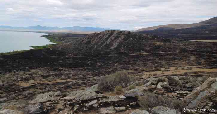 Vehicle tried to dodge road closure for Saratoga Springs fire and sparked another blaze, damaging a rock art preserve