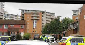 Armed police deployed to centre of Cardiff