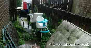 The law on keeping bulky waste items in your garden