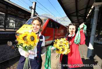 Sunflowers help 10,000 passengers