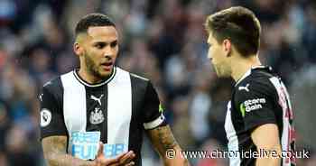 Defensive duo the unheralded stars of Newcastle's return to form