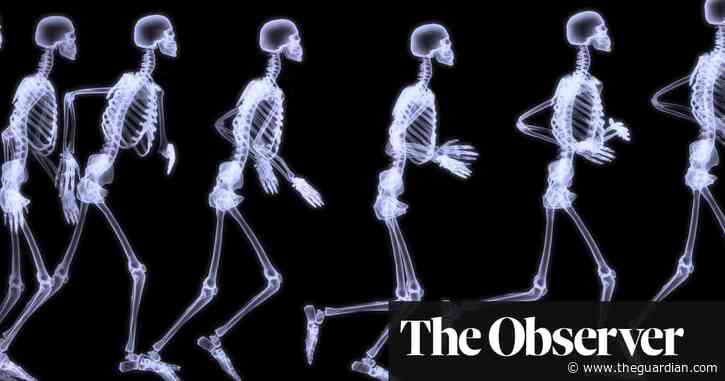 Does the key to anti-ageing lie in our bones?