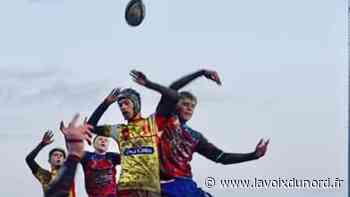 Les équipes jeunes du Rugby-club d'Arras retrouvent le niveau national - La Voix du Nord