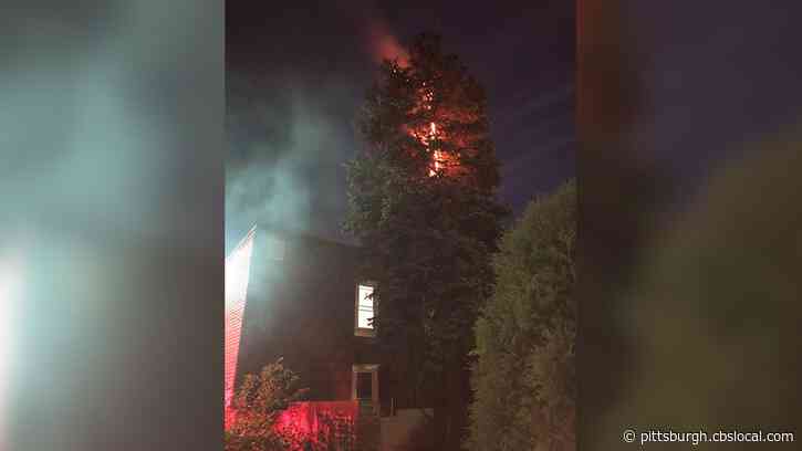 Public Safety Warns Residents About Dangers Of Setting Off Fireworks Following Multiple Tree Fires Last Night