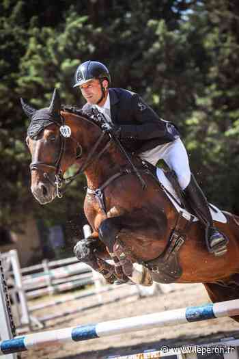 Les jeunes chevaux d'Olivier Chapuis en grande forme à Vedene / Valorisation + 4 ans / élevage / Accueil - L'EPERON