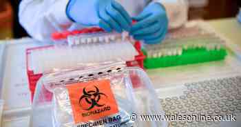 Global coronavirus cases increase by record 212,326 in one day