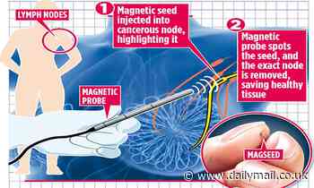 Breast cancer patients to be spared surgery thanks to 'magnetic' seed smaller than a grain of rice 