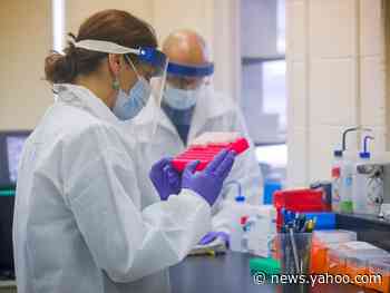 A new strain of coronavirus is more infectious but doesn't make people any sicker than before, according to a global study