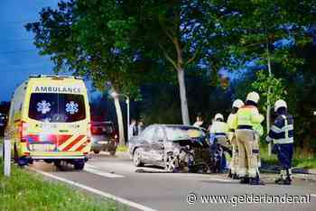 Auto botst tegen busje en klapt op boom in Boxmeer: bestuurder zwaar gewond