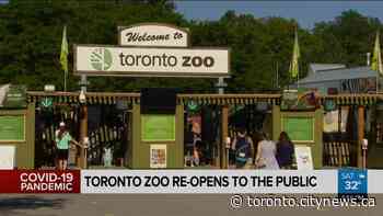 Toronto Zoo fully reopens to the public - CityNews Toronto