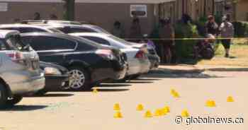 Man killed in daylight shooting at east-end Toronto apartment complex - Global News