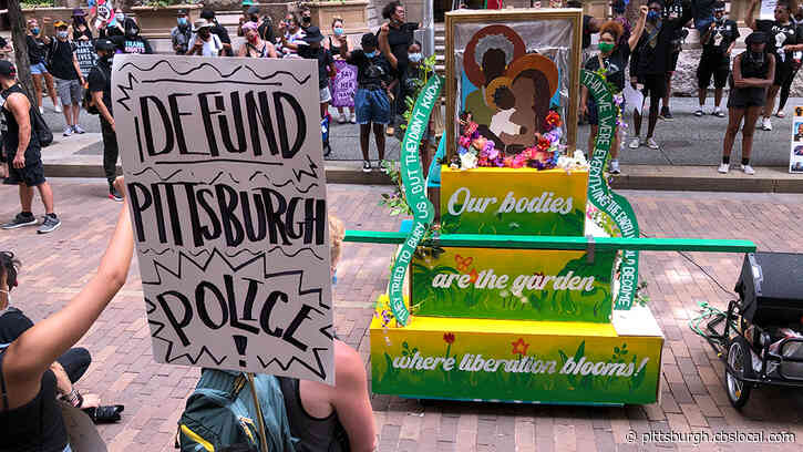 Hundreds Gather In Downtown Pittsburgh For Peaceful Protest On The Fourth Of July