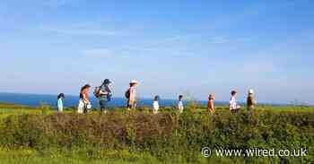 The weird and wonderful reality of post-lockdown camping holidays