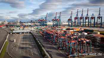 Corona-Krise: Erwartungen der maritimen Wirtschaft stürzen ab - DIE WELT