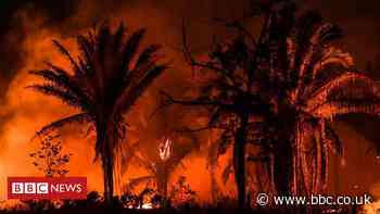 Amazon fires at 13-year high for June