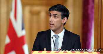 Government could give all adults £500 and children £250 to help economy