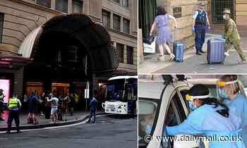 New South Wales records 14 new coronavirus cases - Daily Mail