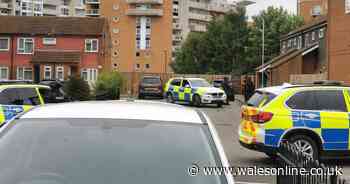 Armed police called to Taff Embankment in Grangetown, Cardiff - Wales Online