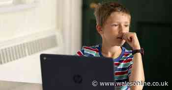 Head teachers demand urgent update on plans for schools in September - Wales Online