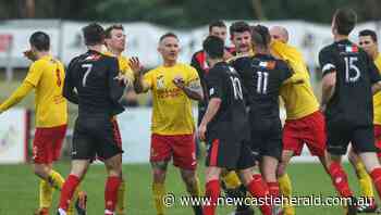 Broadmeadow Magic pull off coaching coup for 2021 - Newcastle Herald