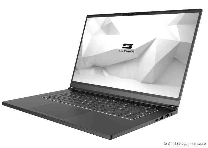 Schenker XMG VIA 15 Pro Ryzen 7 4800H notebook from €876