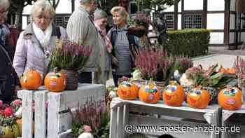 Herbstmarkt und Äppelei in Bad Sassendorf - Soester Anzeiger
