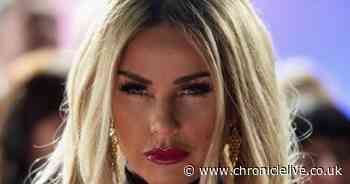 Katie Price takes campaign for laws to stop online trolls to MPs