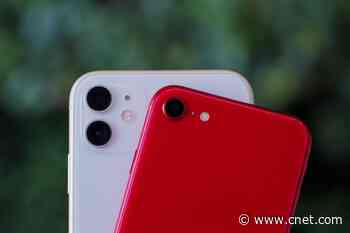 iPhone SE vs. iPhone 11: The features and upgrades you get from spending an extra $300     - CNET
